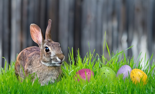 What is the origin of the Easter bunny and Easter eggs?