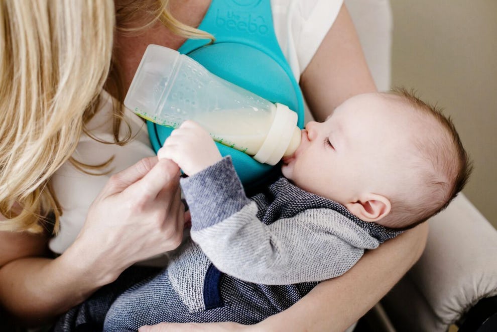 Beebo feeding 2025