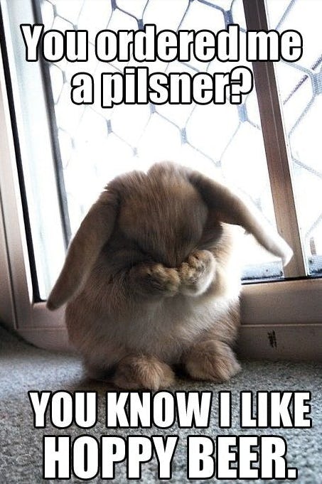 Memes About Beer For National Beer Day That Every Fan Will Love