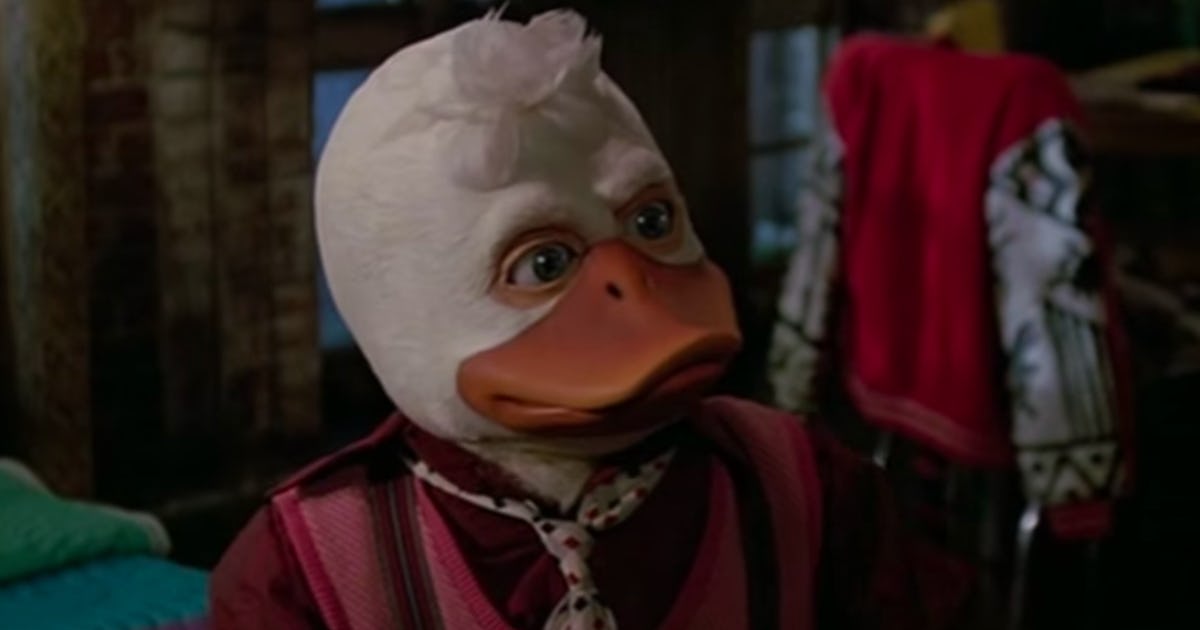 Will There Be A Howard The Duck Movie The Guardians Cameo Could Hint To The Future Will There Be A Howard The Duck Movie The Guardians Cameo Could Hint To The Future