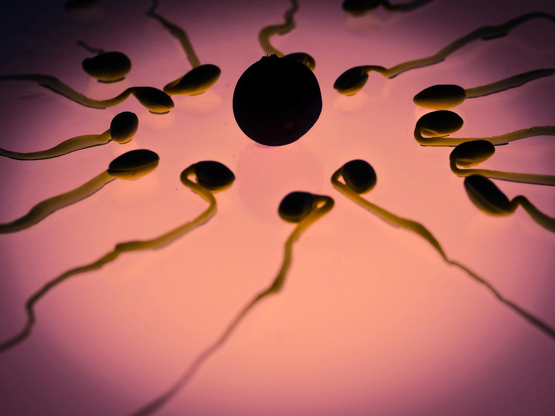 Can A Sperm Allergy Cause Infertility? All Hope Isn't Lost