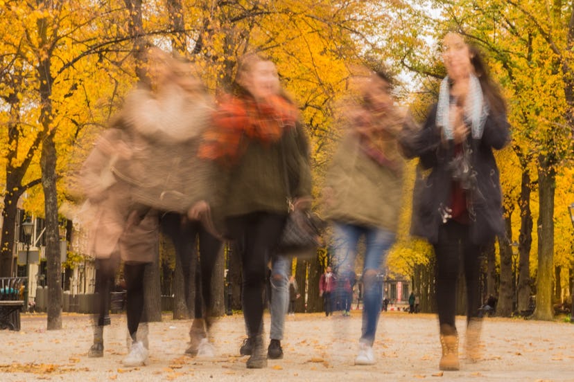 A blurry image of a group of friends walking between rows of trees during the fall