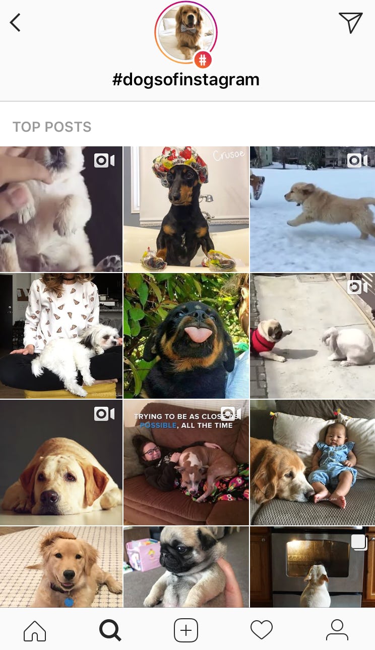 funny insta locations – funniest locations on instagram – Robot Watch