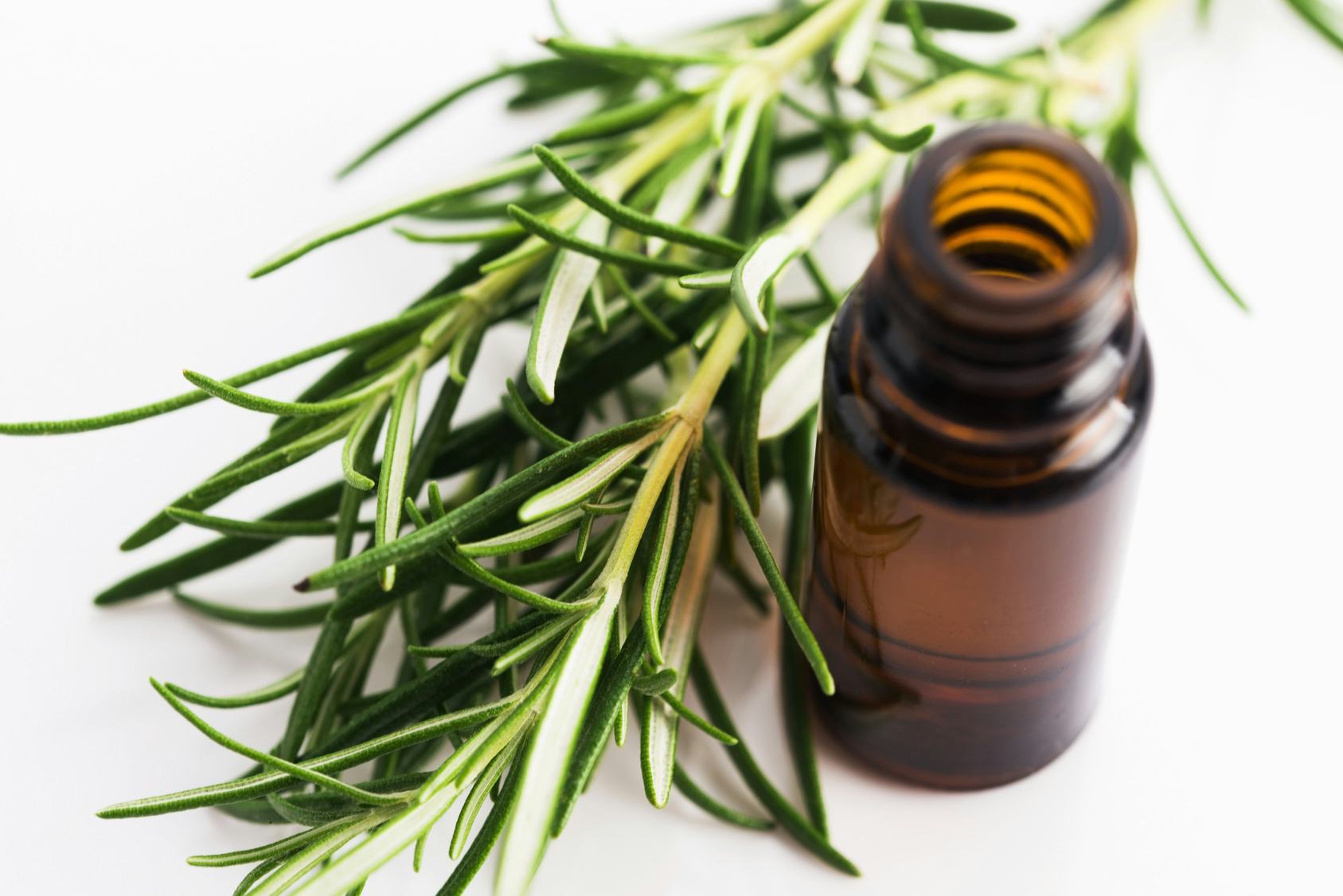 The 11 Best Tea Tree Oil Skin Care Products For Acne