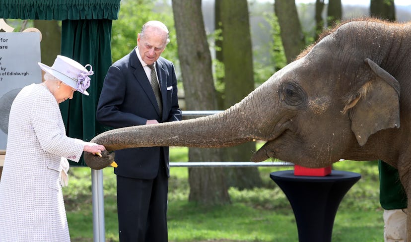 Elizabeth and Philip standing next to an elephant