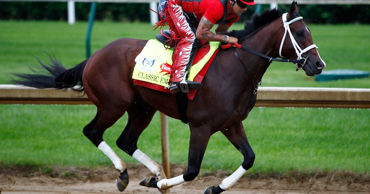 Who Is Classic Empire? The Kentucky Derby Horse Is Favored To Win