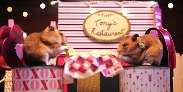 This Tiny Hamster Valentine's Day dinner is too cute.