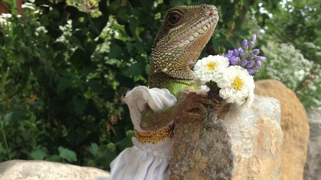 Creative Woman Dresses Up Her Pet Lizards In Hilarious ...