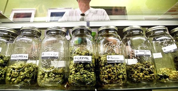How Working At A Medical Marijuana Dispensary Opened My Eyes
