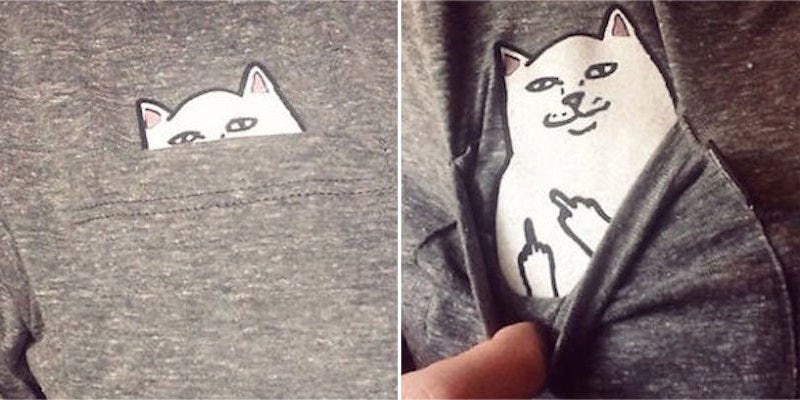 Cat giving hotsell middle finger shirt