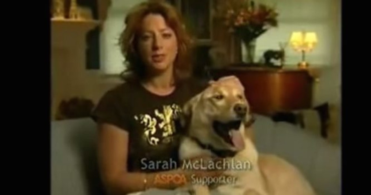 In The Arms Of An Angel Dog Commercial Sarah McLachlan Explains Her Role In Those Tragic Dog Commercials That