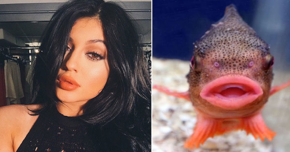 Фото рыбы с человеческими губами и зубами напугало Сеть - TOPNews.RU