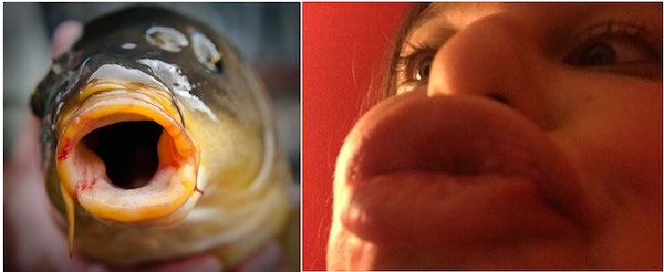 12 Fish That Look Just Like Girls Who Did The Kylie Jenner Challenge
