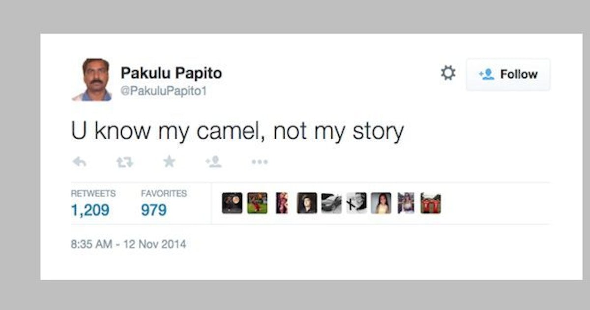 People Are Obsessed With The Most Random Twitter Account Ever
