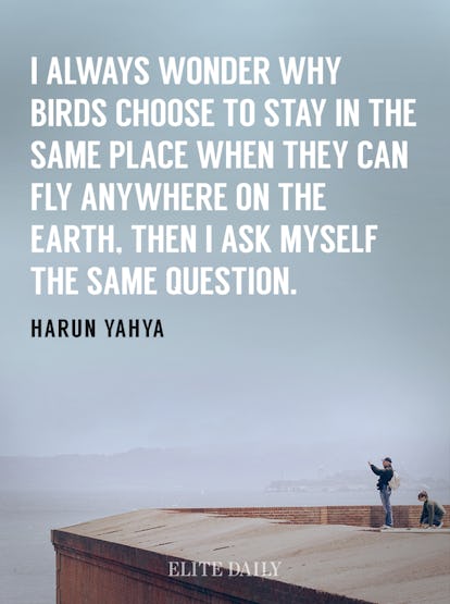 Quotes For When You Feel Like You Just Need To Get Away From It All Quotes For When You Feel Like You Just Need To Get Away From It All