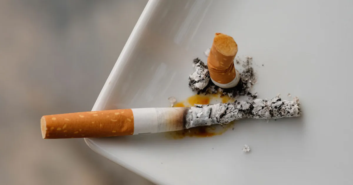 are winston cigarettes still available Winston Cigarettes