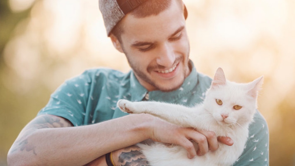 8 Reasons You Should Consider Dating A Guy Who Owns A Cat