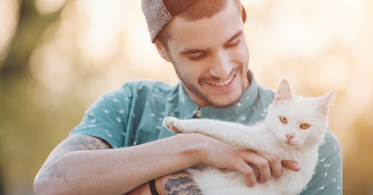 8 Reasons You Should Consider Dating A Guy Who Owns A Cat