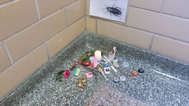 People Actually Held A Funeral Service For This Dead Cockroach (Photos)