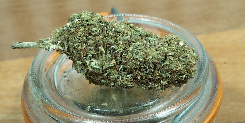 6 Day Cannabis Pre Workout for Burn Fat fast