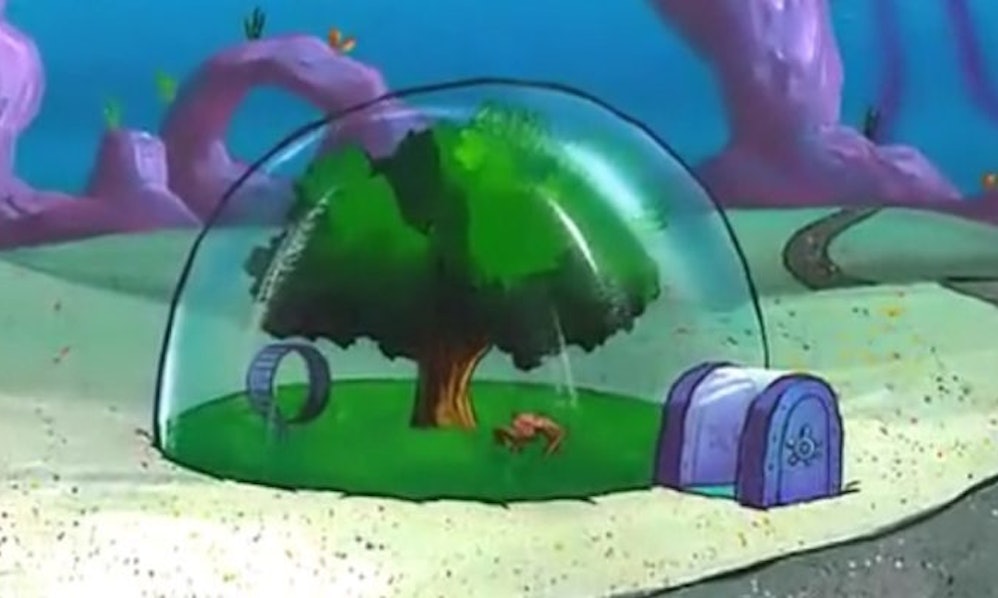 This Epic Tent Looks Just Like Sandy Cheeks' House From 'Spongebob ...