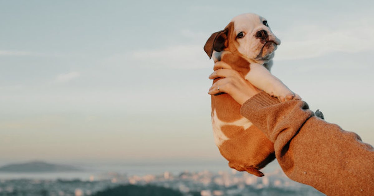 18 Instagrams Of Baby Animals That Are Actually Too Cute To Handle 18 Instagrams Of Baby Animals That Are Actually Too Cute To Handle