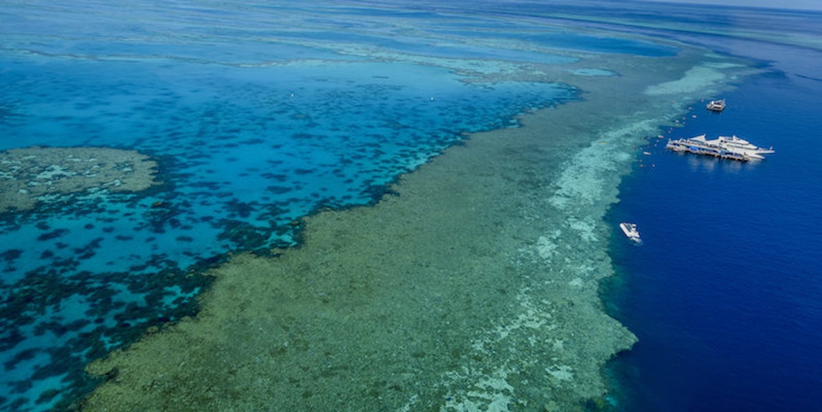 Climate Change Could Actually Be Destroying The Great Barrier Reef