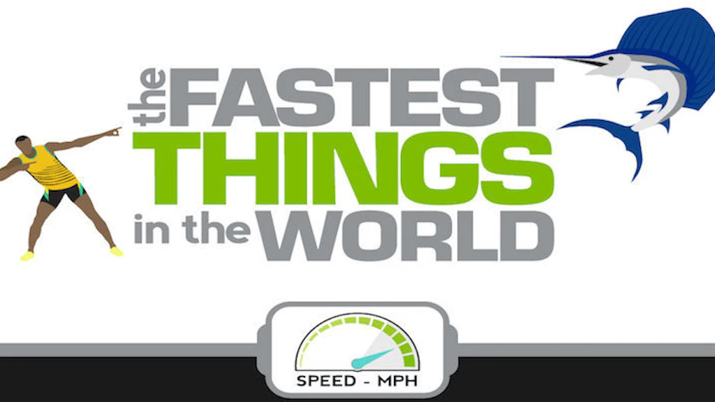 This Infographic Shows You The 18 Fastest Things In The World