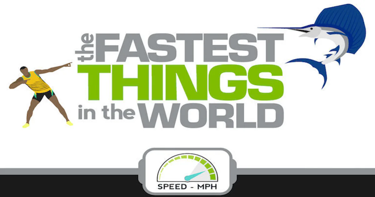 This Infographic Shows You The 18 Fastest Things In The World