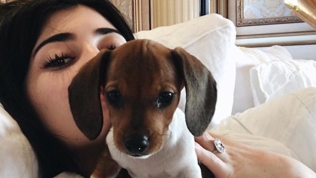 Kylie Jenner Receives Cute Puppy For Her Birthday