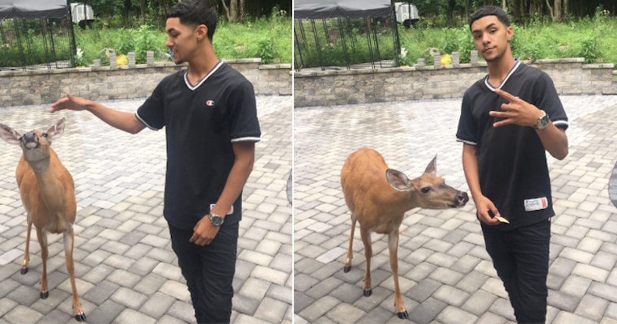 People Can't Get Enough Of This Guy's Videos With His 'Squad' Of Deer