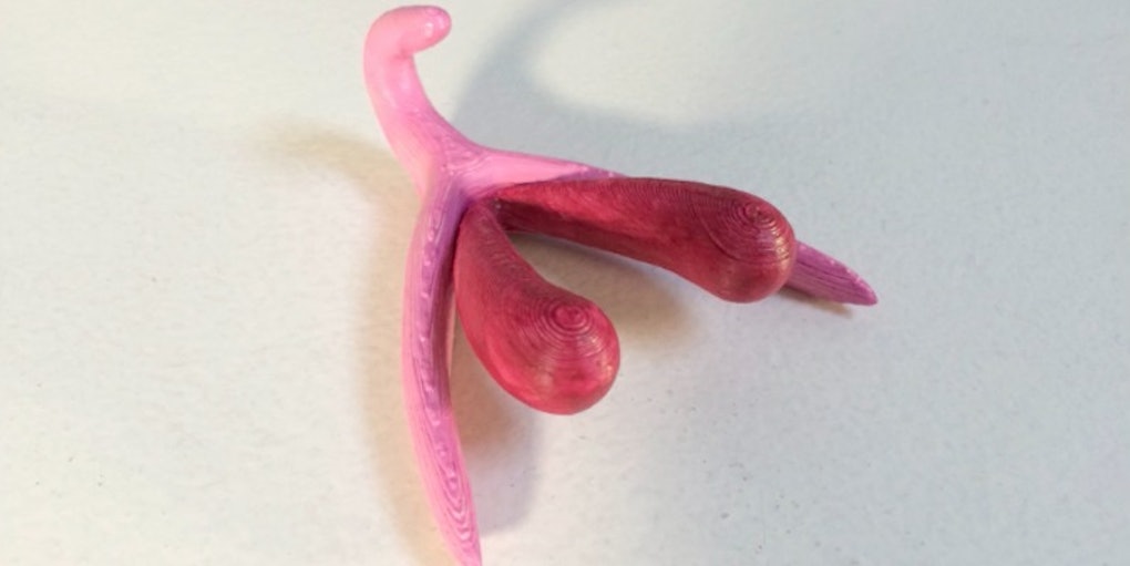 The First 3d Printed Clitoris Proves How Little We Know About It