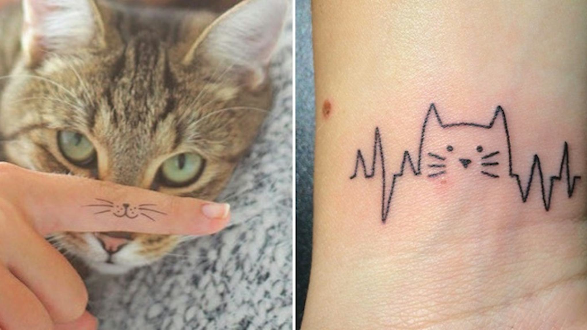 Котик тату простое