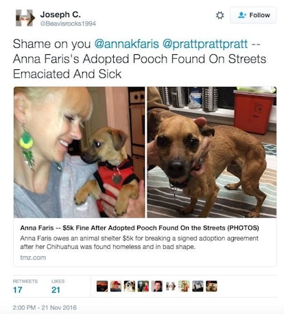 Chris Pratt And Anna Faris's Dog Was Found Homeless