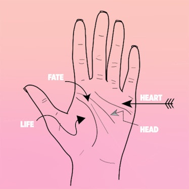 The meaning of the different lines in palmistry. Example: head line palm, life line on palm.