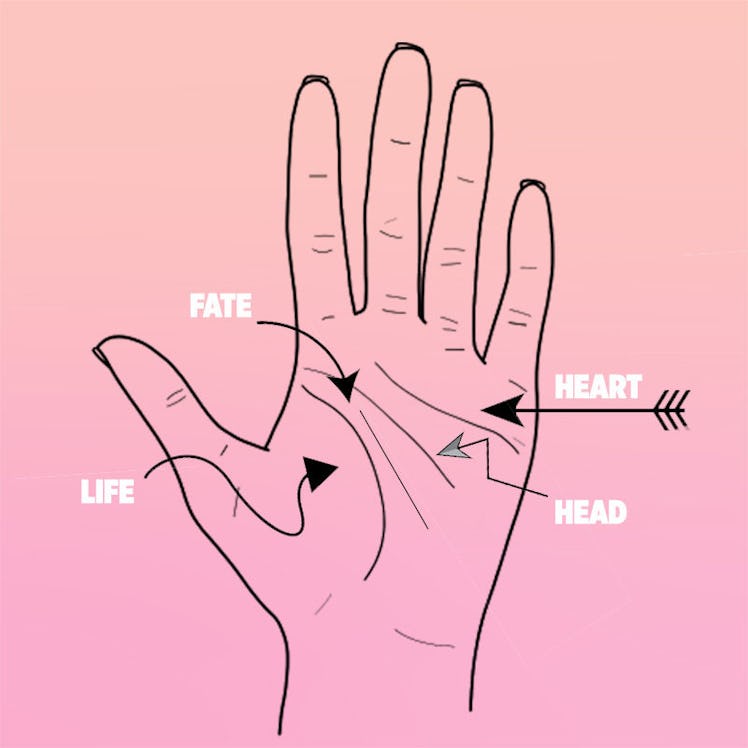 The meaning of the different lines in palmistry. Example: head line palm, life line on palm.