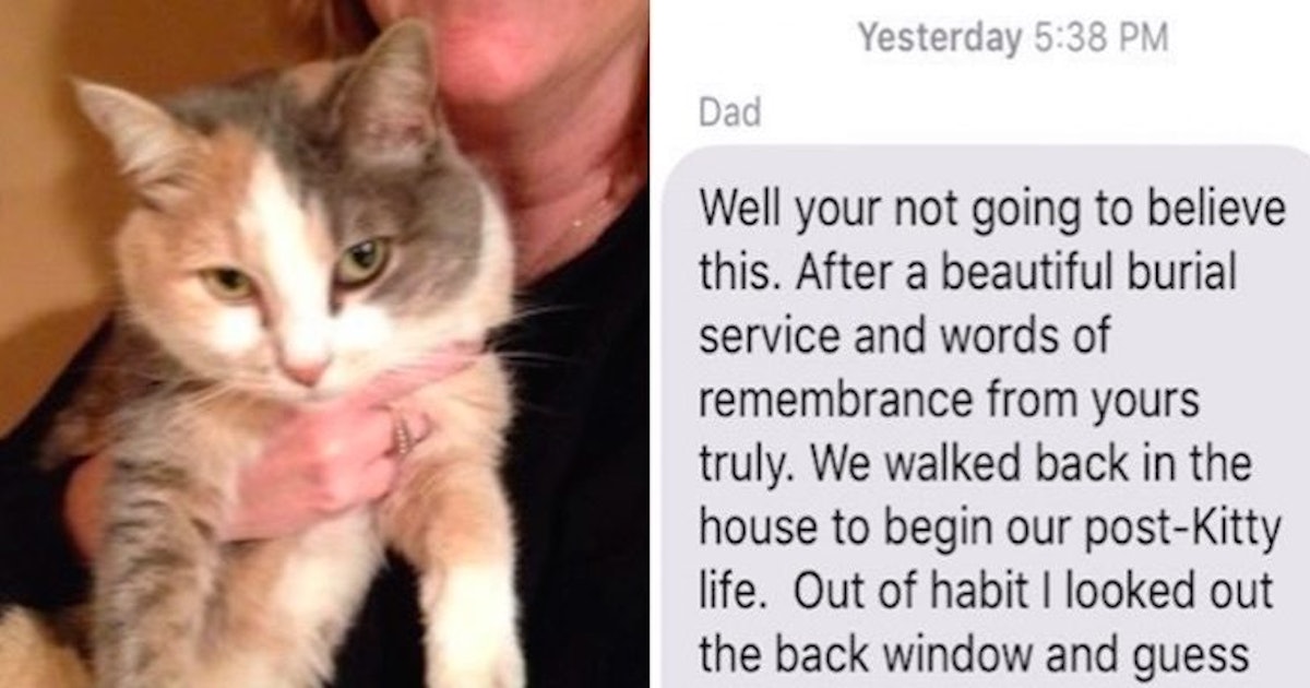 Family S Viral Texts About Their Cat Dying Have Hilarious Twist