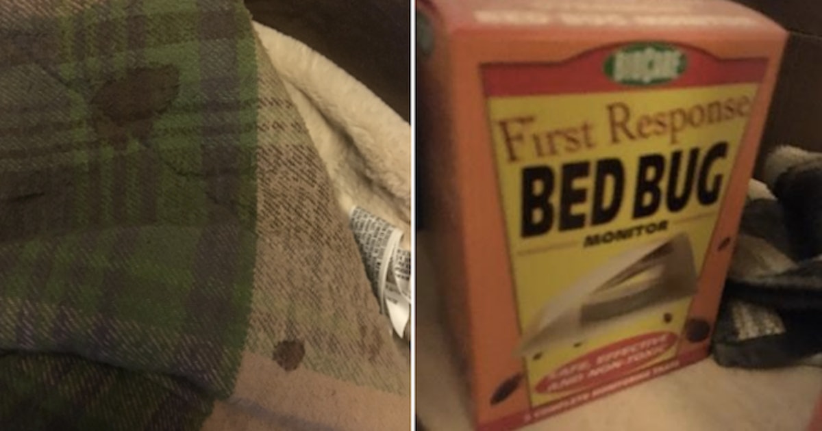 Couple Posts Pics Of Dirty Airbnb With BloodStained Blanket