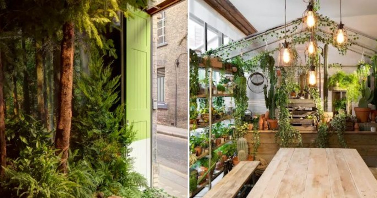Airbnb Brings The 'Outside In' To Get You Through The Winter