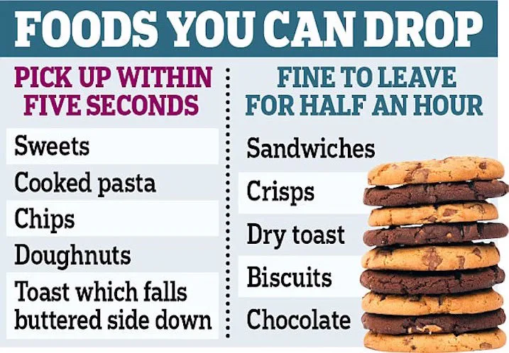 Science Says You Can Ignore 5-Second Rule For These Foods