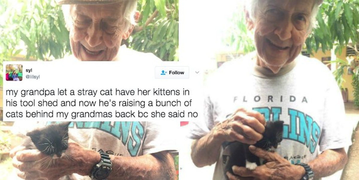 Grandpa Keeps A Secret From Wife Hes Just Raising Kittens