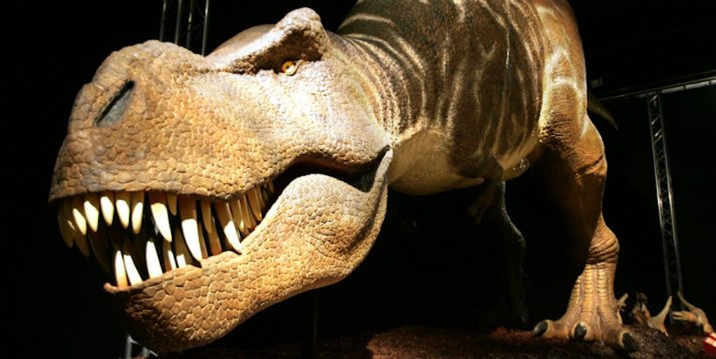 Dinosaur Foreplay Existed T Rex Cuddled Before Sex