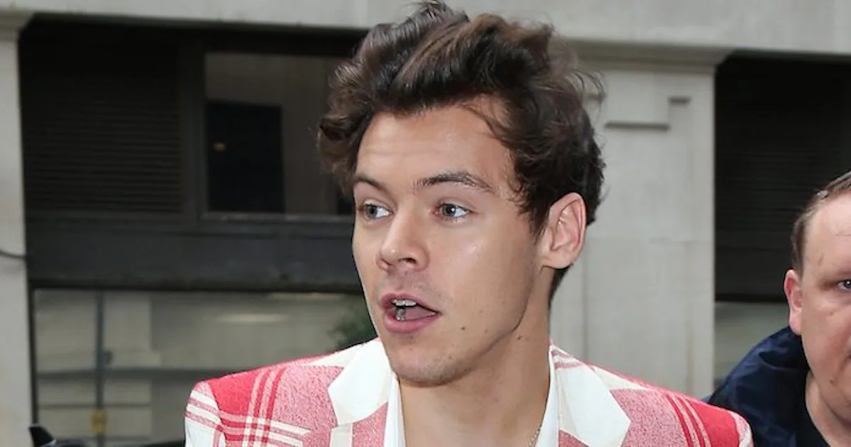 Who Is Harry Styles' 'Carolina' Song About?