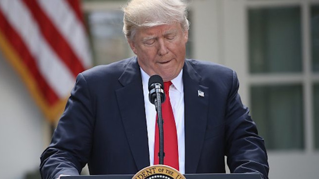 The Weather Channel Trolls Donald Trump On Their Website