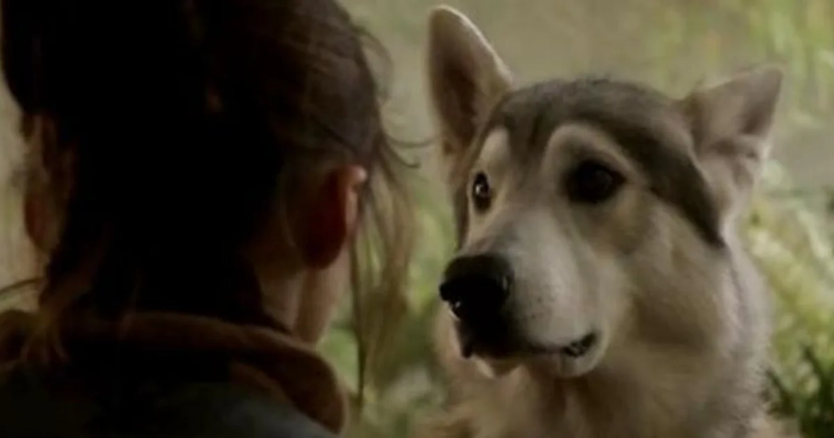 Game Of Thrones Season 7 Direwolves Will Be Beautiful