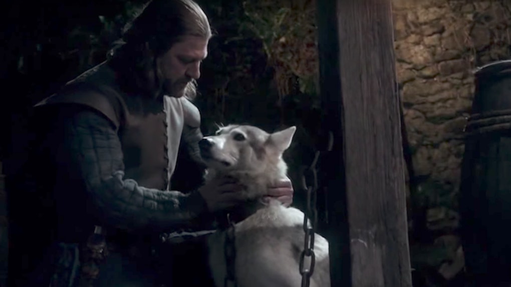 Direwolf Scenes On Game Of Thrones To Hold You Over Until Next Week