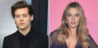 Harry Styles and Camille Rowe