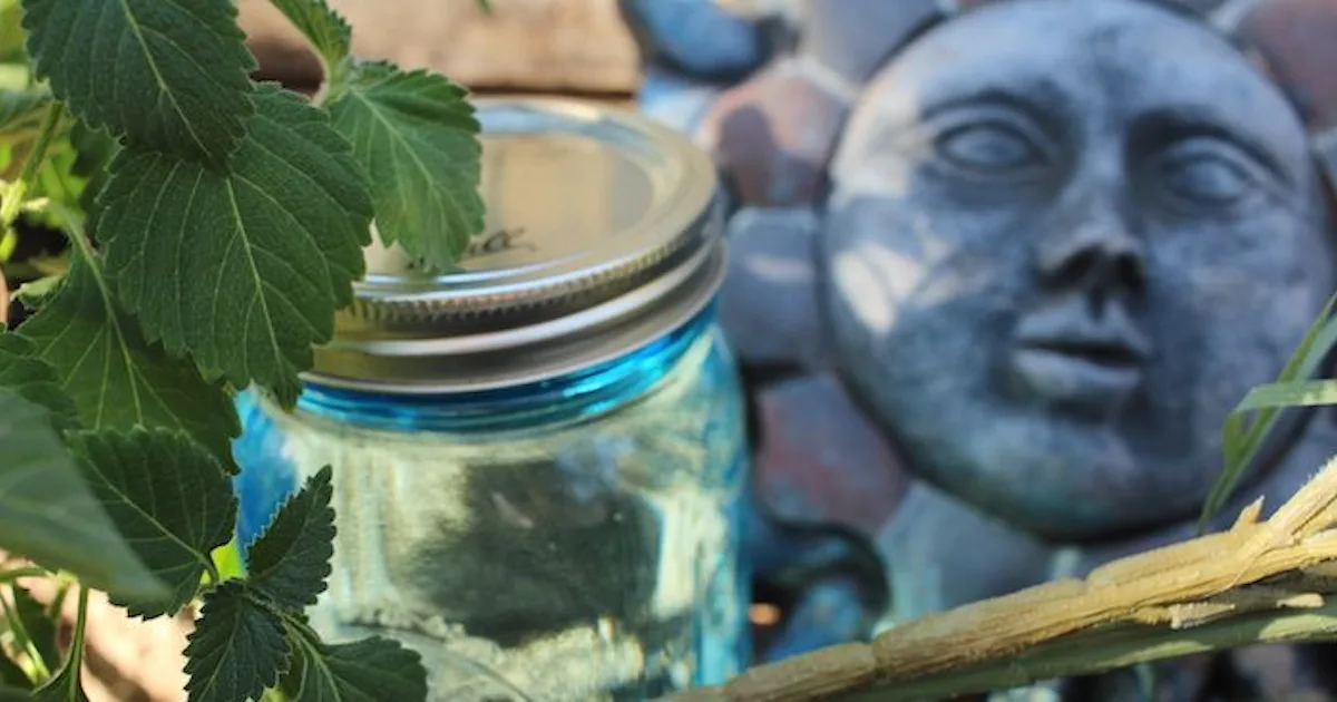 This Solar Eclipse Ritual Made Me Feel Totally Cleansed, Here's How I ...