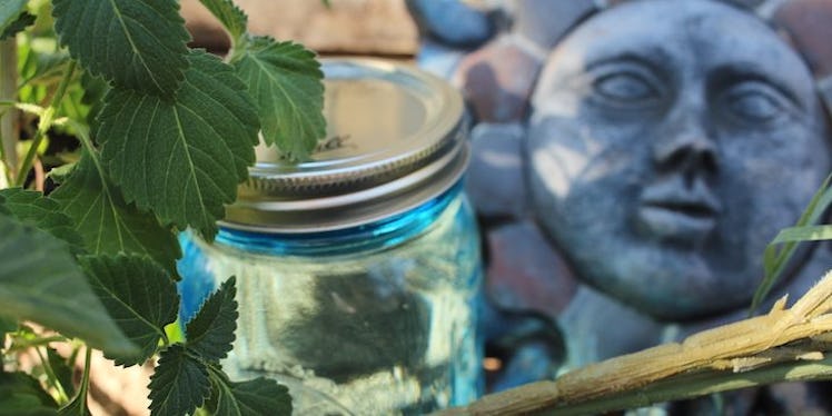 A glass jar next to a tree branch, and a sculpture of a sun with a face for a solar eclipse ritual