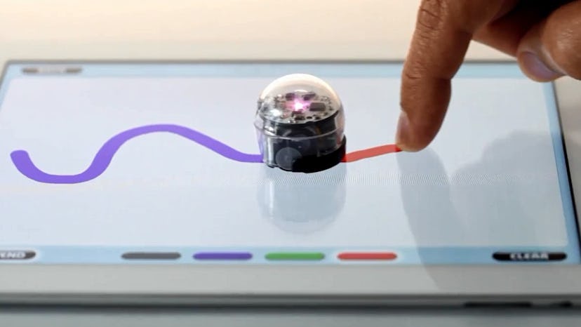 ozobot -- toy fair